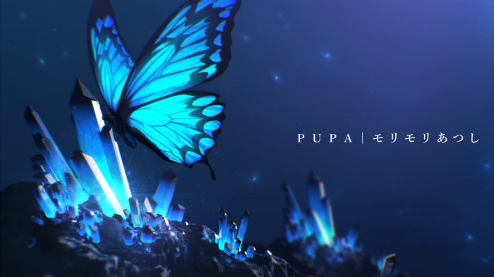 PUPA